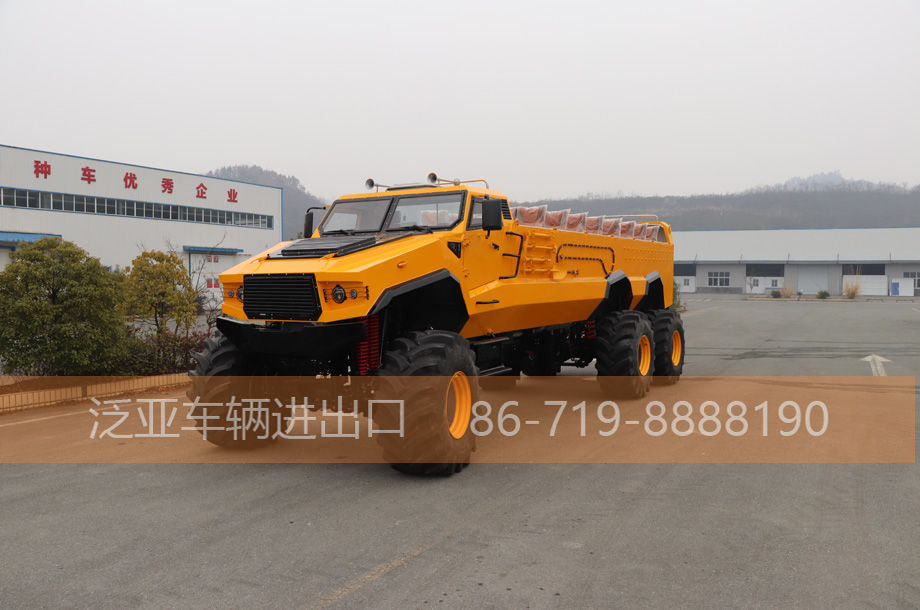 六驱沙漠冲浪车，旅游观光车可定制   （118万）